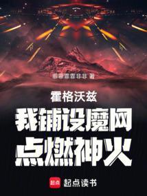 霍格沃兹我铺设魔网点燃神火