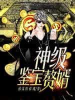 神级鉴宝赘婿范元旦免费