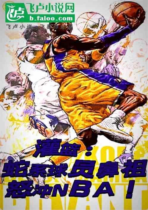 蛇叔篮球