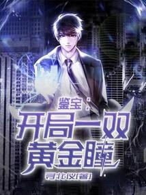 鉴宝开局获得寻宝系统