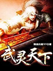 武灵天下元枫免费阅读
