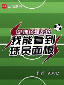 足球经理系统我能看到球员面板