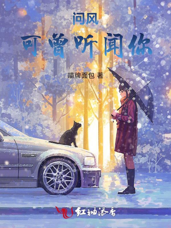 可曾听闻追风