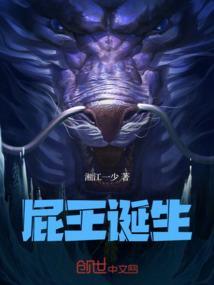王的诞生动漫
