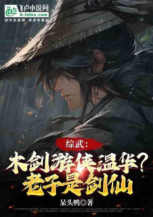 木剑游侠温华图