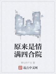 情满四合院是什么