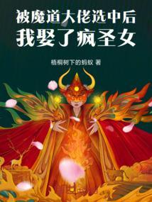 我娶了疯圣女