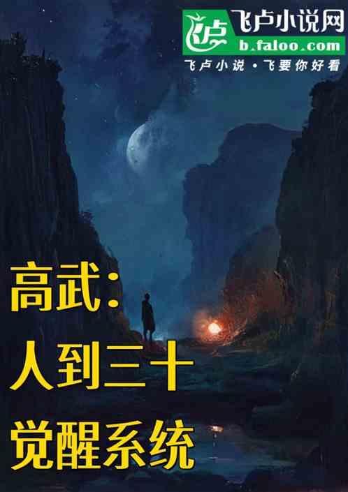 高武30岁觉醒系统