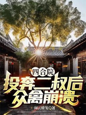 四合院开局输出投资为