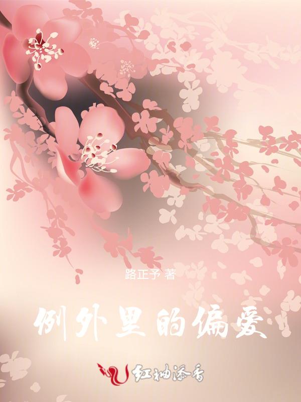 例外里的偏爱是什么