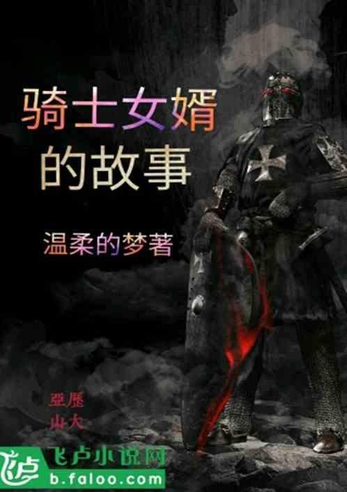 骑士女婿的故事在线观看