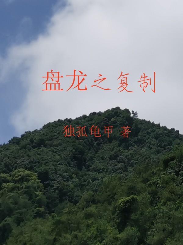 盘龙之龙