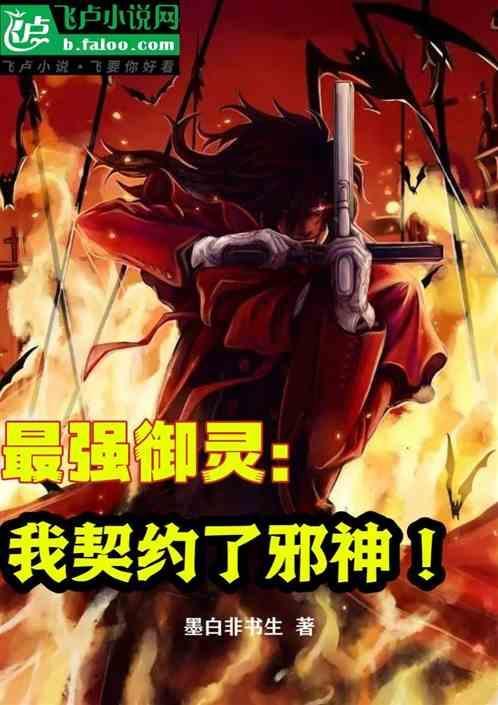 最强御灵师叶凡