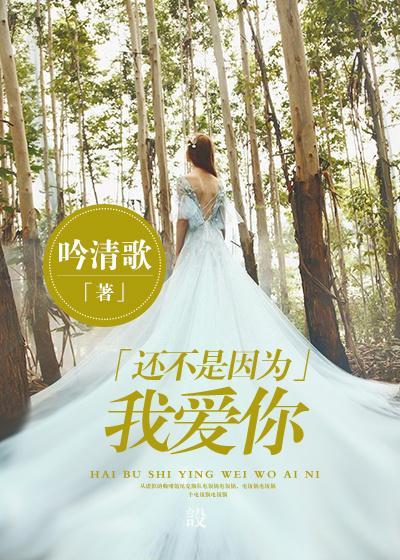 不是因为我爱你不是因为我想你歌词