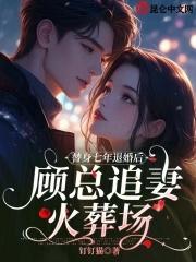 替身甜妻顾西城第二部