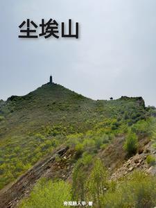 尘埃山阅读