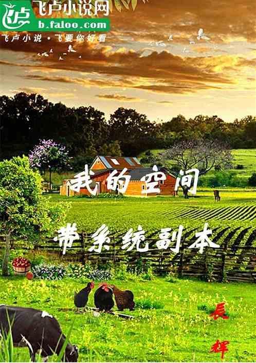 我的空间带系统副本