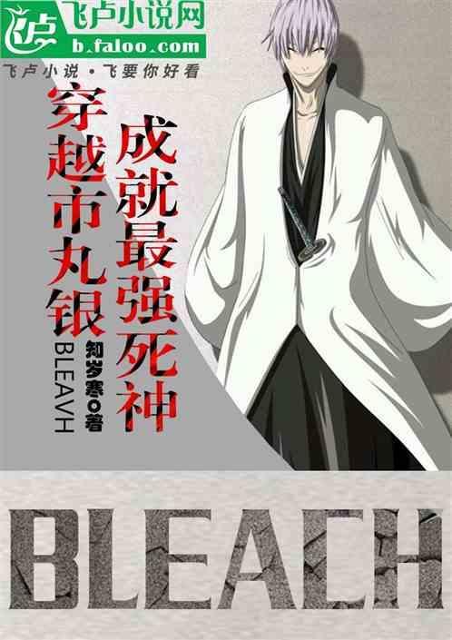 穿越市丸银，成就最强死神
