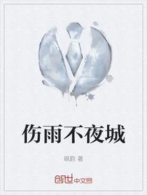 伤雨不夜城