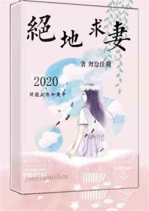 绝地求妻