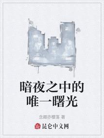 暗夜之中的唯一曙光