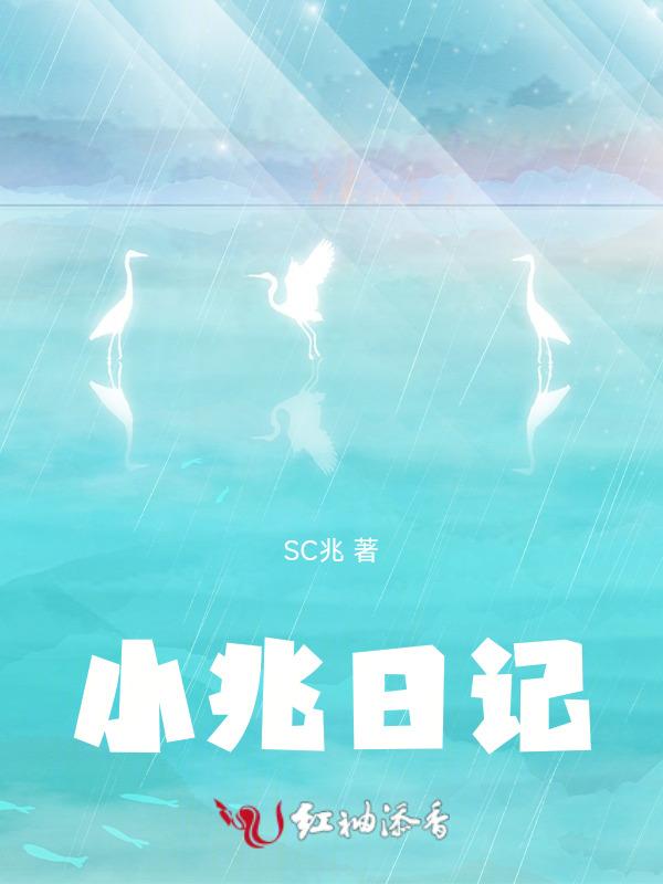 小兆日记