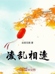 凌乱相遇