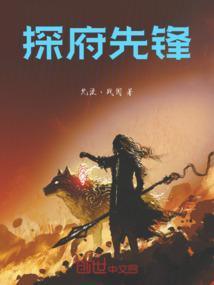 探府先锋