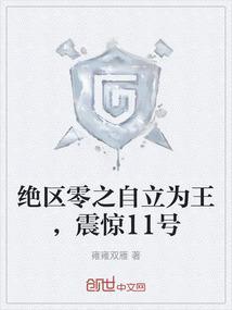 绝区零之自立为王，震惊11号
