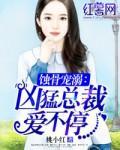 蚀骨宠溺：凶猛总裁爱不停