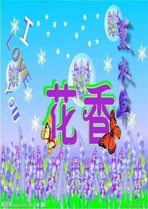 薰衣草的夏日
