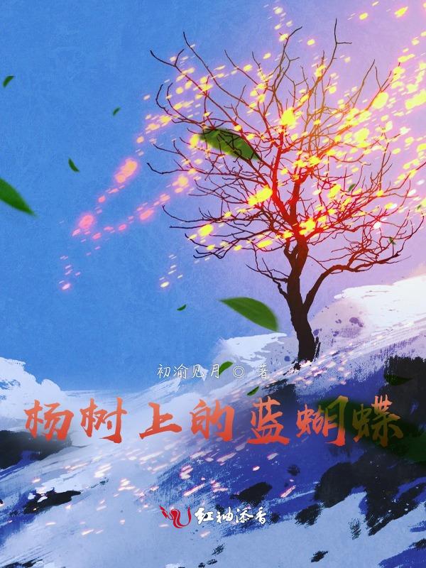 流光止于蝉鸣