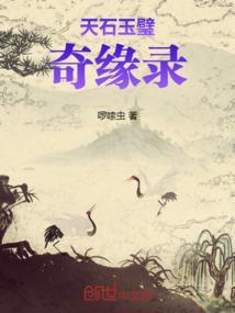天石玉璧奇缘录